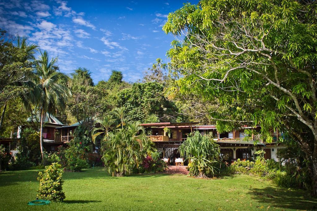 Hotel Amor De Mar Montezuma Bagian luar foto